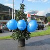jubilumsfeier 15 jahre 025